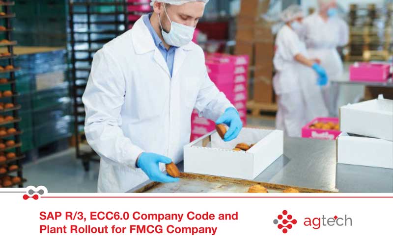 SAP R3 ECC 6.0 Company Code & Plant Rollout | AG Technologies