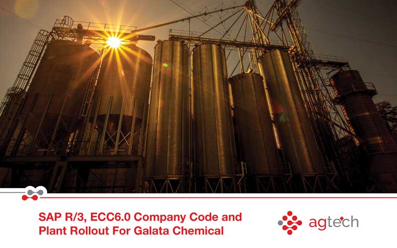 SAP R3 ECC 6.0 Company Code & Plant Rollout | AG Technologies