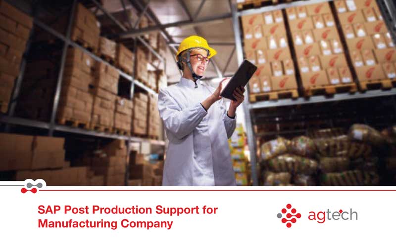SAP Post Production Support | AG Technologies